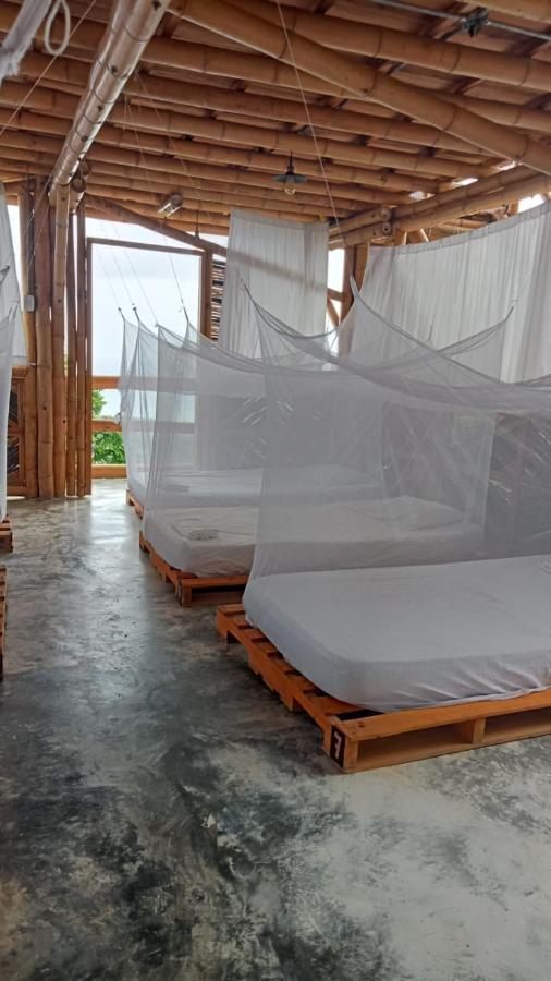 Niuwi Hostel ブリタカ エクステリア 写真