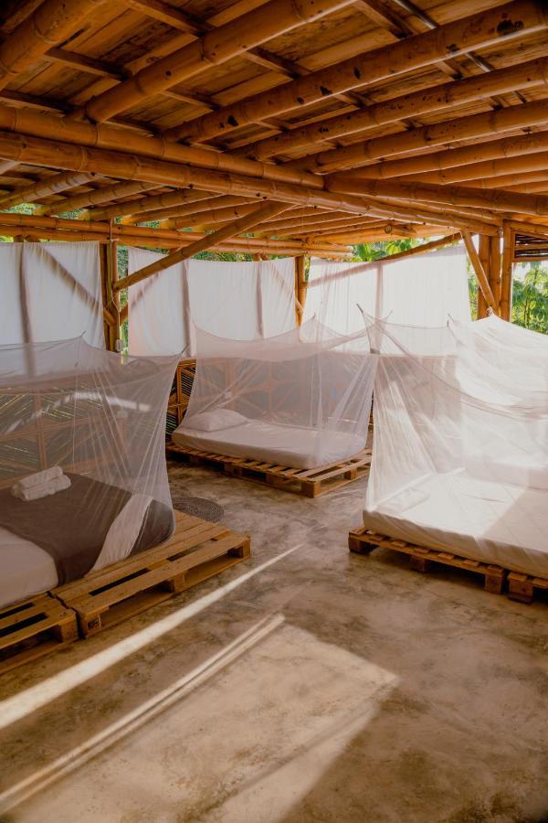 Niuwi Hostel ブリタカ エクステリア 写真