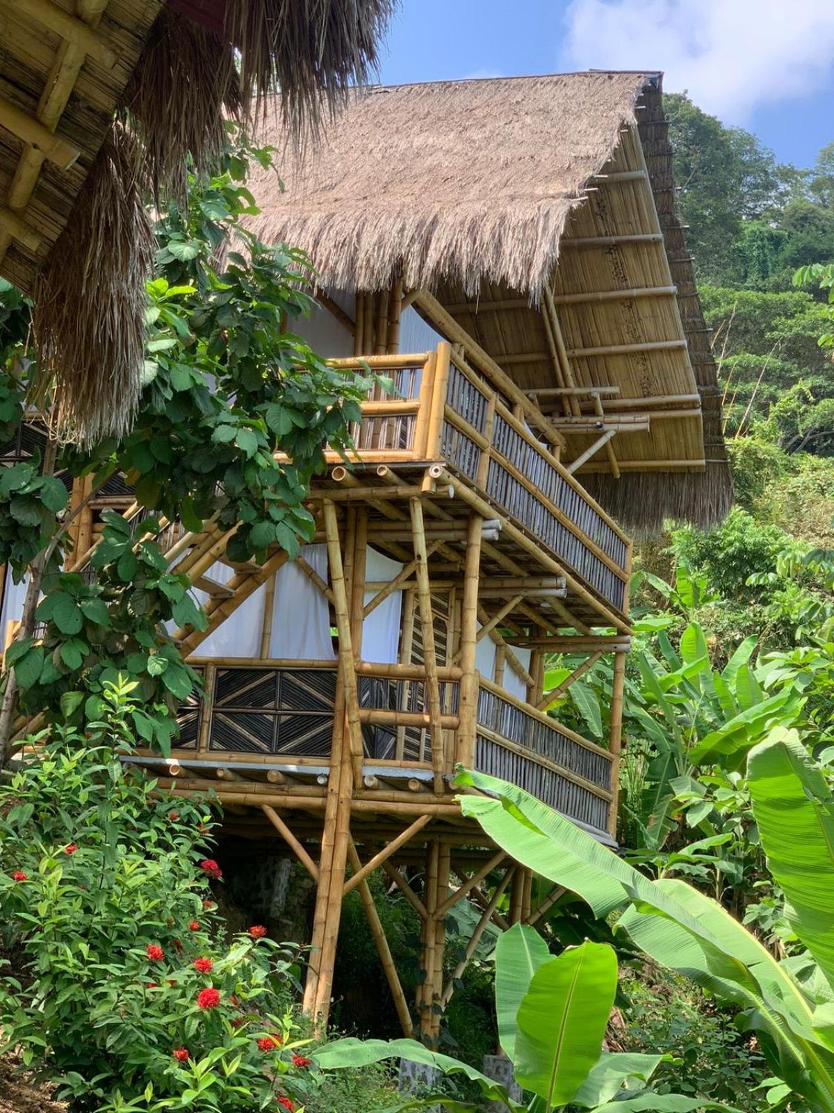 Niuwi Hostel ブリタカ エクステリア 写真