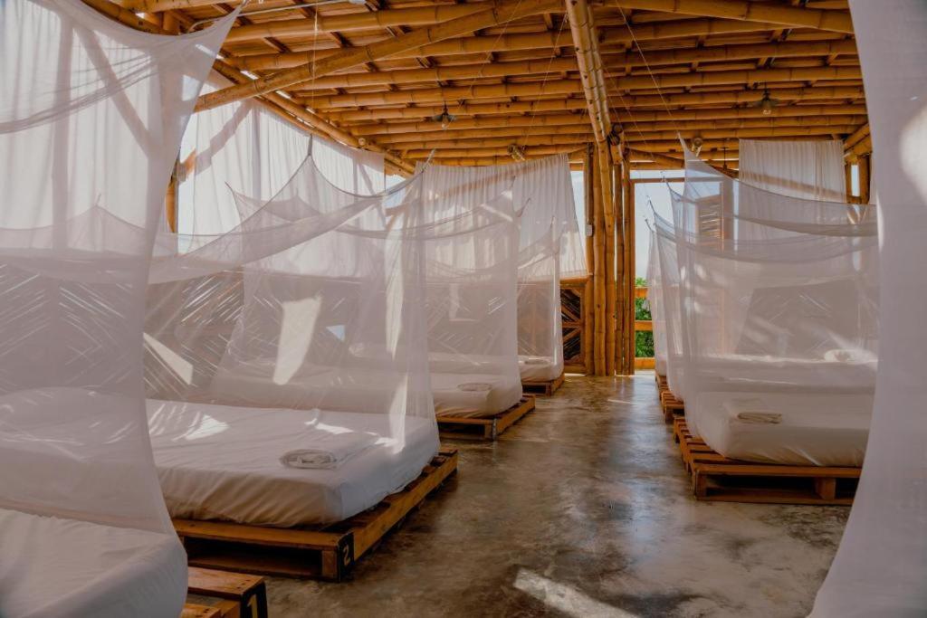 Niuwi Hostel ブリタカ エクステリア 写真